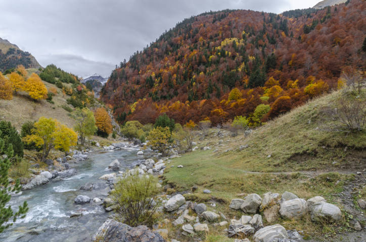Huesca - valle de Ordiso 06 - rio Ara.jpg